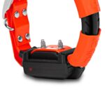 Lokalizator GPS dla małych psów DOG GPS X30T Short z modułem treningowym - obrazek 2