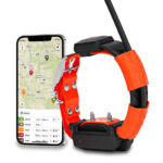 Obroża GPS dla psa DOG GPS X30T z modułem treningowym