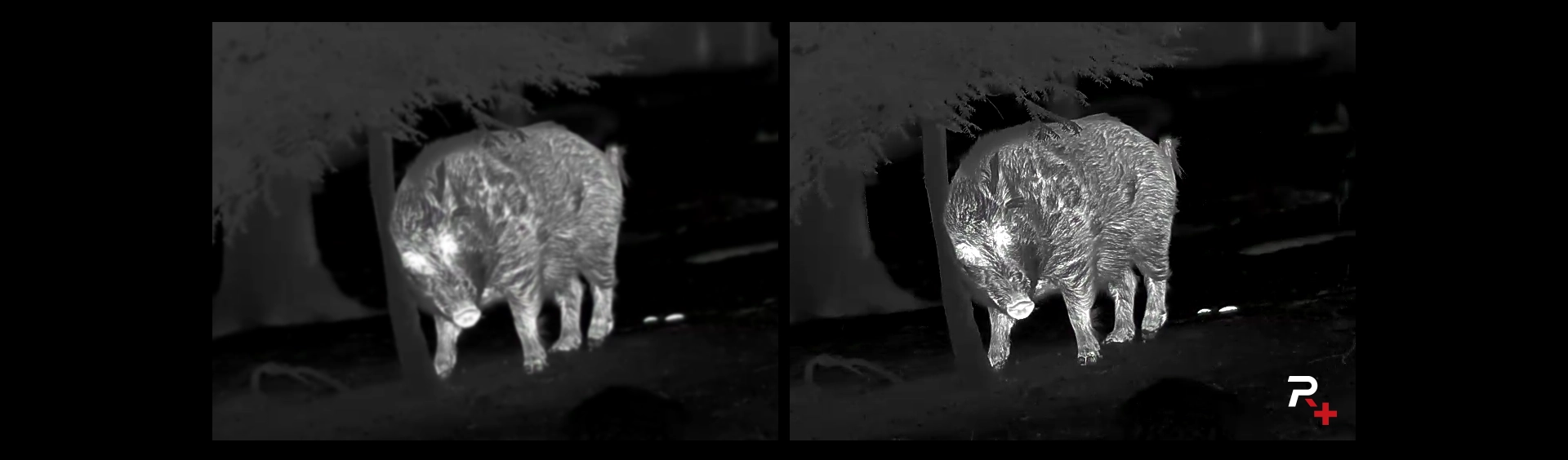Ace-H50R-nocpix-pl-8-2.webp