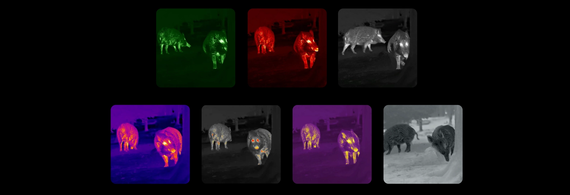 LUMI-H35-nocpix-pl-6.webp