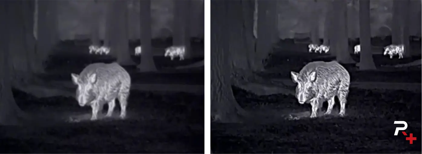 LUMI-H35-nocpix-pl-4.webp