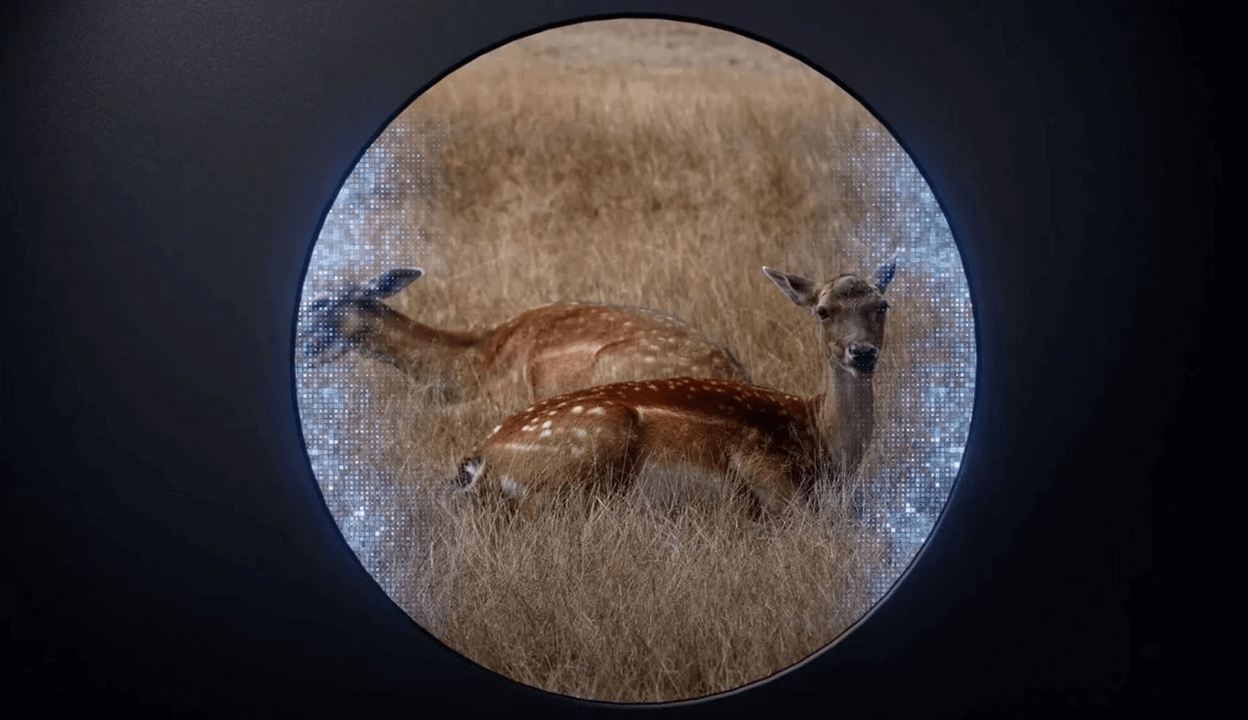 Nite-D70R-X-Hog-PRO-tamed-pl-6.png