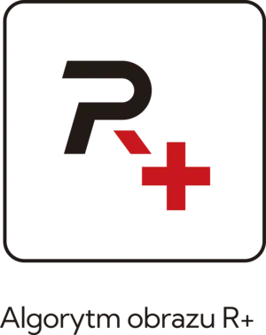 nocpix-pl-Algorytm obrazu R+.webp